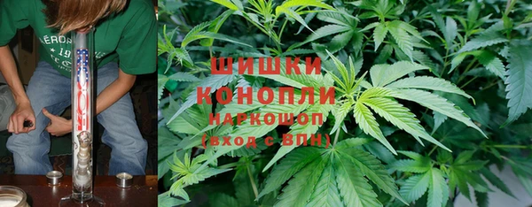 наркотики Белокуриха