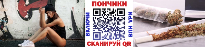 Конопля Bruce Banner  Светогорск 